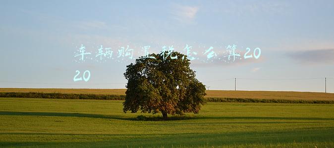 车辆购置税怎么算2020