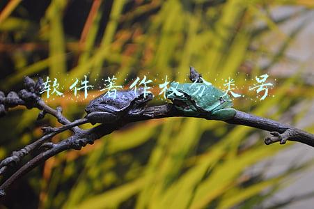 软件著作权分类号