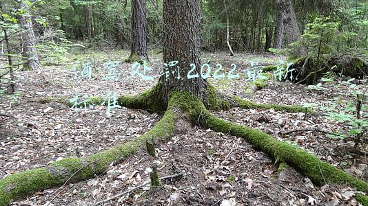 酒驾处罚2022最新标准