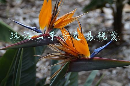 珠海二手房交易税费