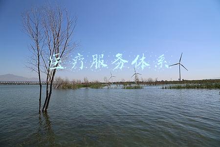 三级医疗服务体系(作为基层三级医疗卫生体系的带头人，县域医院的发展比想象中重要)