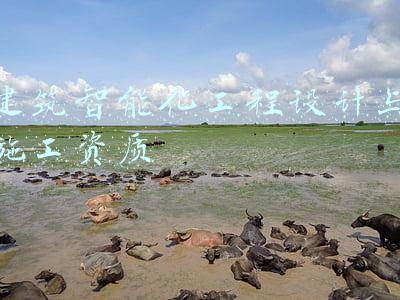 建筑智能化工程设计与施工资质