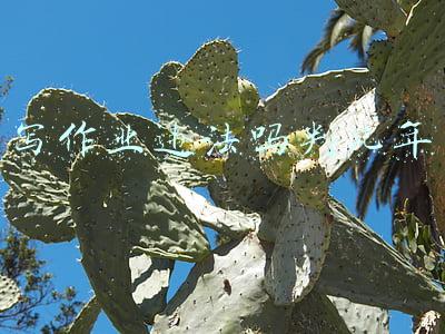 写作业违法吗判几年