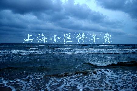 上海小区停车费收费标准2021(小区收益分配的约定、法定、酌定)