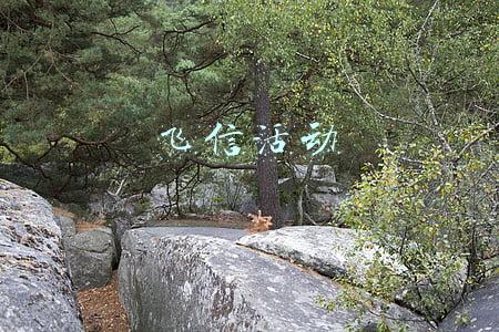 飞信活动