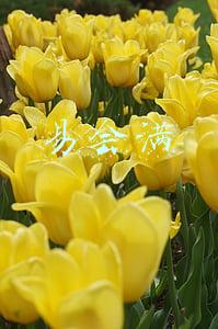 易会满