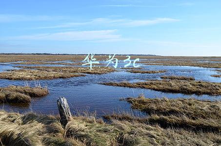 华为3c