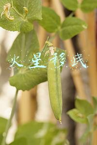 火星移民