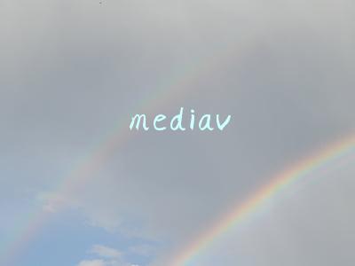 mediaV公司(按受众购买将成趋势 360实效理念驱动营销变革)
