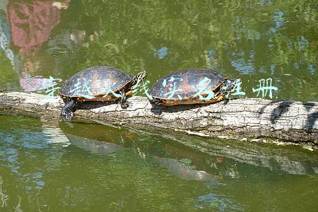 穿越火线实名注册