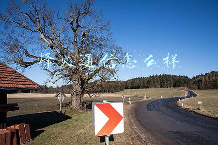 烽火通信怎么样