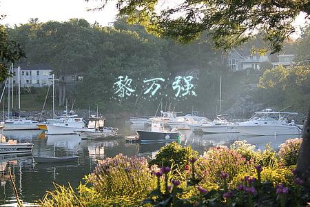 黎万强