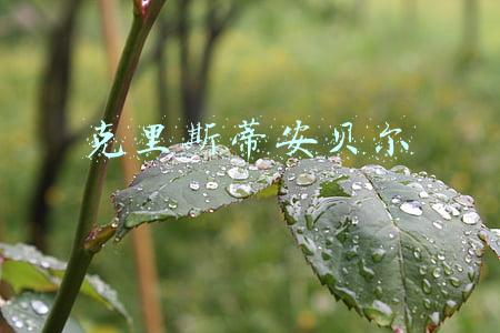 克里斯蒂安贝尔