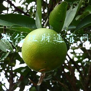 微信理财通官网