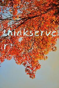 thinkserver