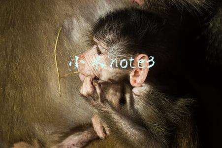 小米note3上市时间(小米note3终于迎来MIUI12稳定版推送)