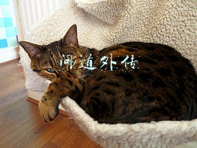问道外传