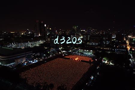 d3205