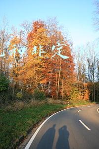 定制机和非定制机的区别