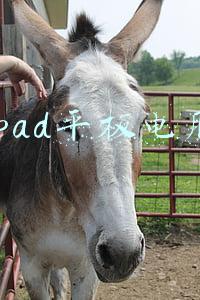 ipad平板电脑