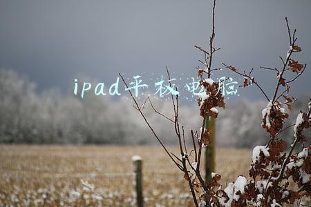 ipad平板电脑