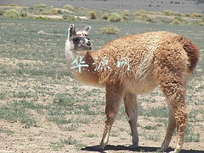 华源网站(苏州华源控股股份有限公司关于变更投资者联系方式及证券部办公地址的公告)