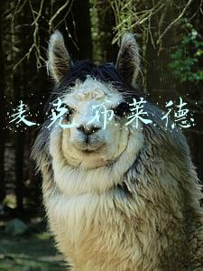 麦克布莱德