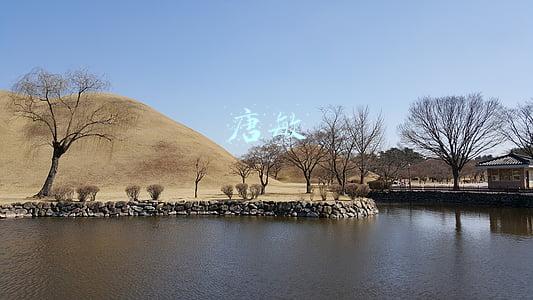 唐敏