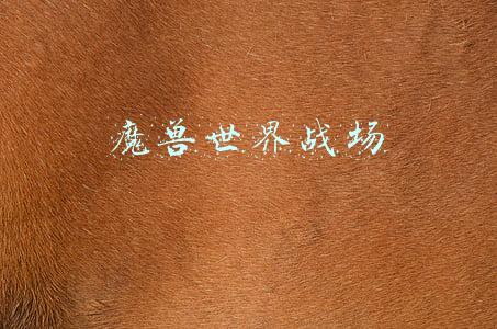 魔兽世界战场