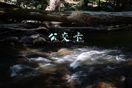 公交卡余额查询(4步快速查询交通卡余额)