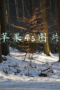 苹果4s图片