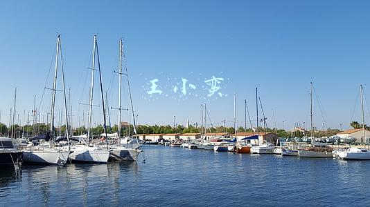 王小蛮