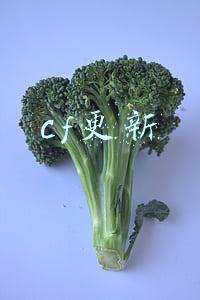 cf更新