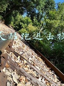 天天酷跑进击模式
