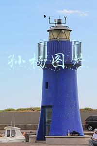 孙杨图片