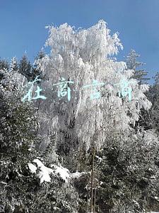 在商言商无利不商以商言商利欲则商(“只要创始人心不死，创业公司是不会死的”，不死背后的各种肮脏)