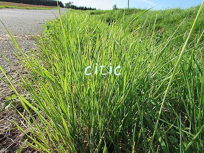 citic是什么缩写(中信资本收购公司宣布完成首次公开发行 募集2.76亿美元)