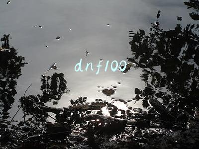 dnf100