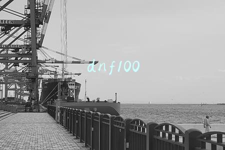 dnf100
