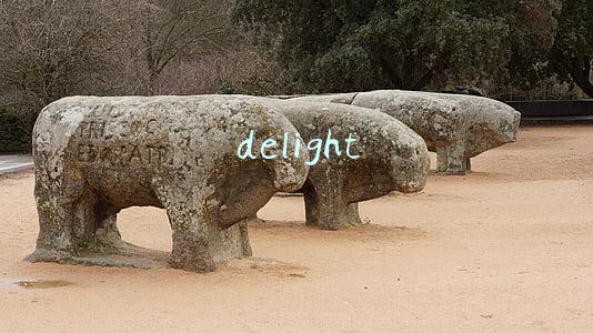delight