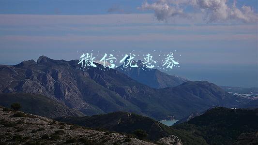 微信优惠券