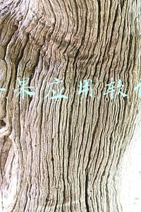 苹果应用软件