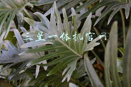 三星一体机官网