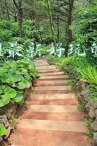 ipad最好玩儿的游戏(iPad无需联网也能玩的3款小游戏，打发时间不错)
