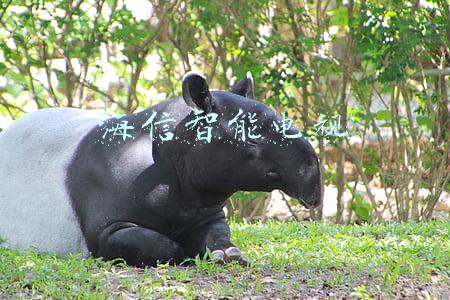 海信智能电视