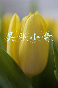 吴邪小哥