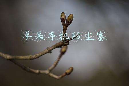 苹果手机防尘塞