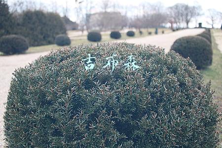 吉布森