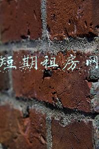 短期租房网络宽带怎么解决(让新市民租得放心、住得安心)
