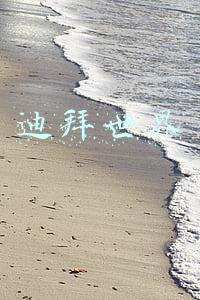 迪拜世界